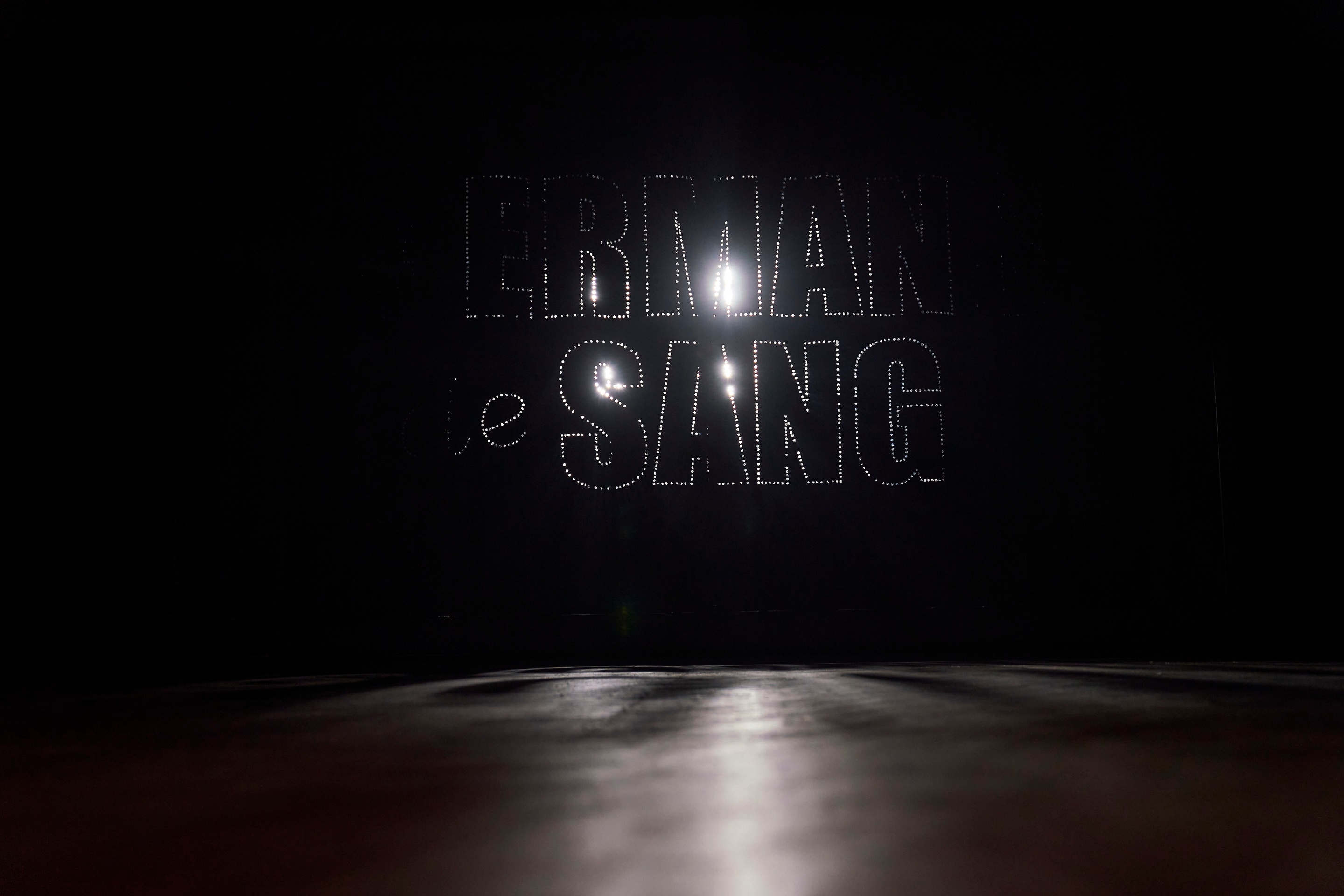 germans de sang al teatre condal