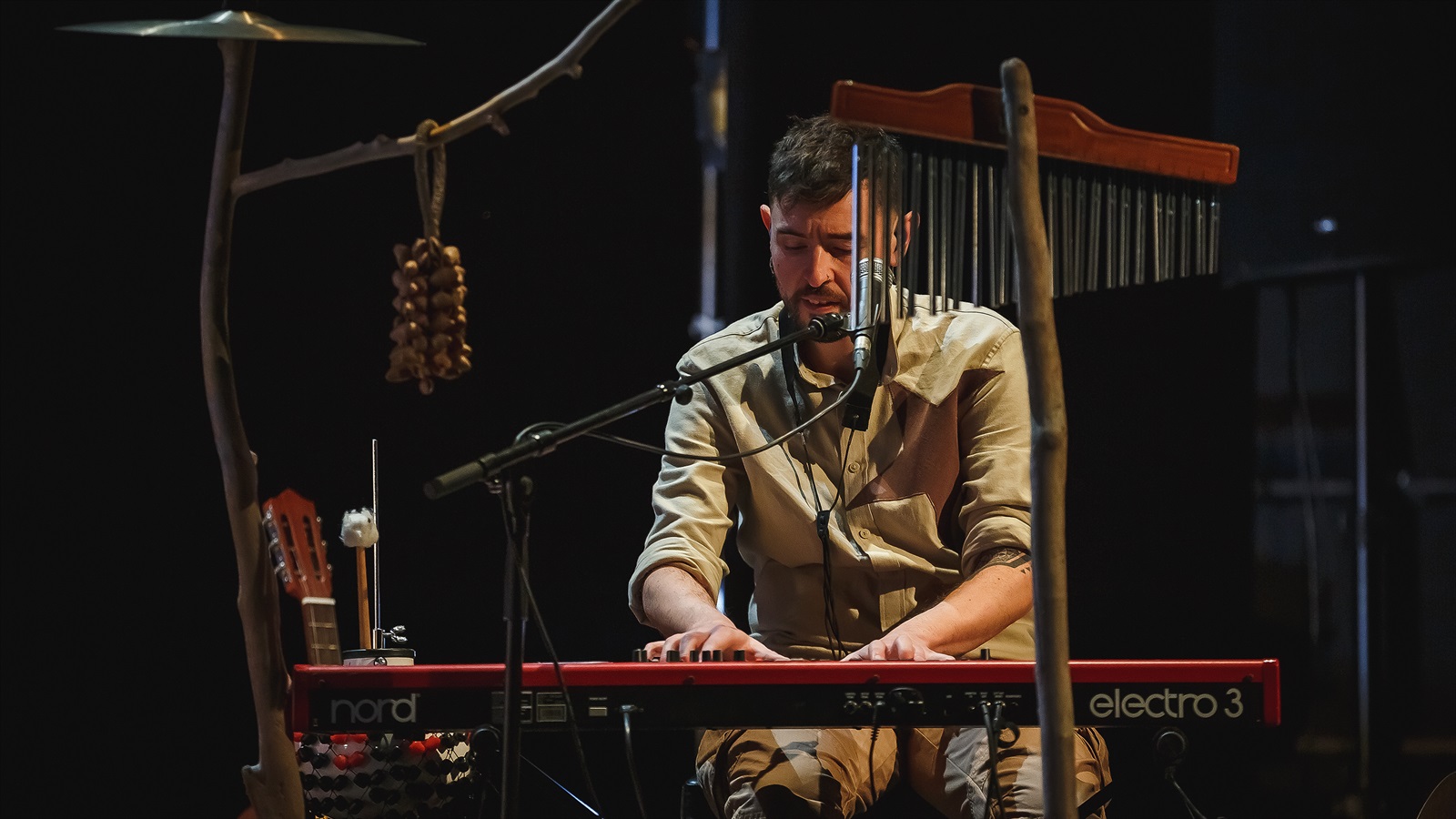 les aventures del lleó vergonyós en el teatre goya