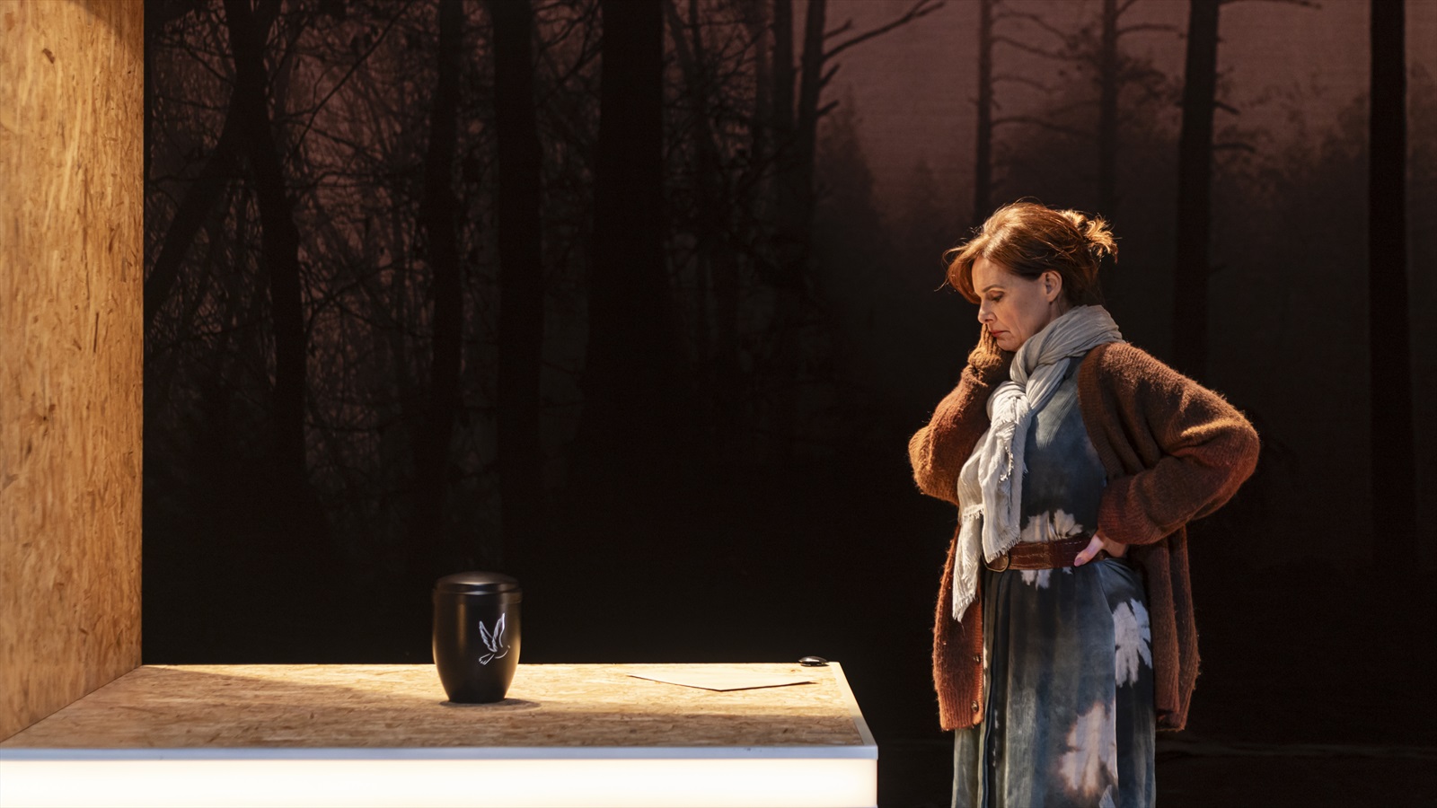 clavells al teatre goya