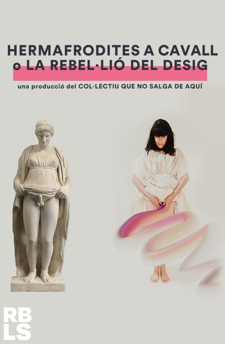 HERMAFRODITES A CAVALL O LA REBEL·LIÓ DEL DESIG